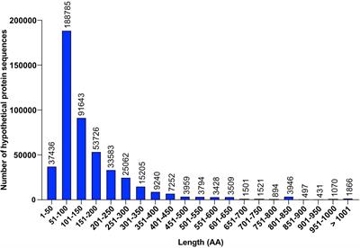 Bacterial hypothetical proteins may be of functional interest